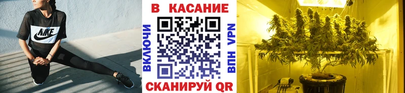 Виды наркотиков купить Елизаветинская ЭКСТАЗИ  APVP  Амфетамин  Меф мяу мяу  Гашиш 