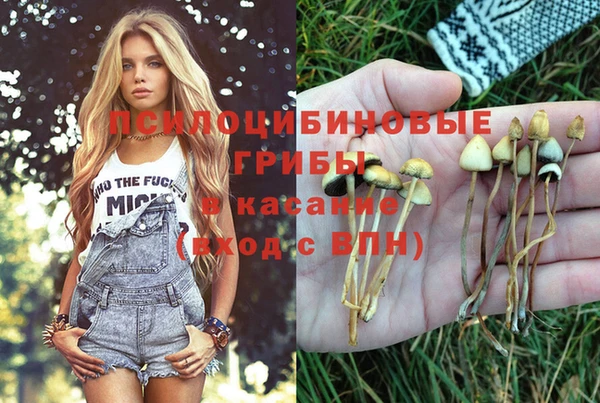 марки nbome Богородицк
