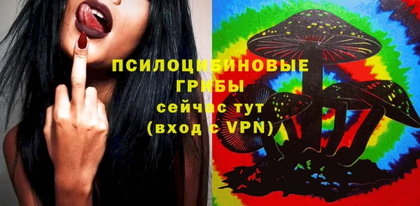стафф Богородск