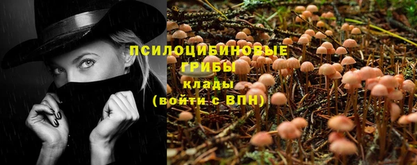 хмурый Богданович