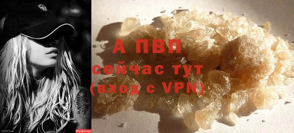 хмурый Богданович