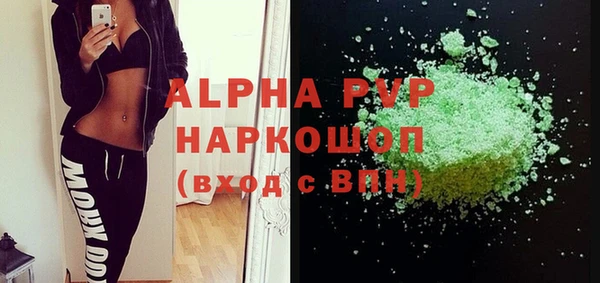 индика Нязепетровск