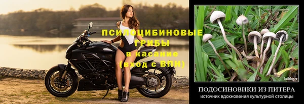 марки nbome Богородицк