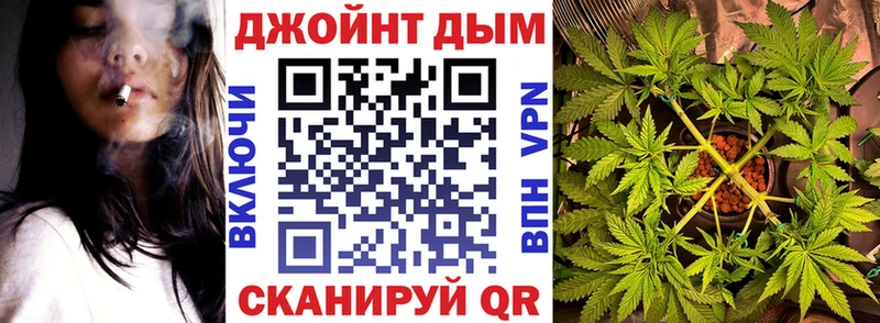 Конопля сатива Елизаветинская